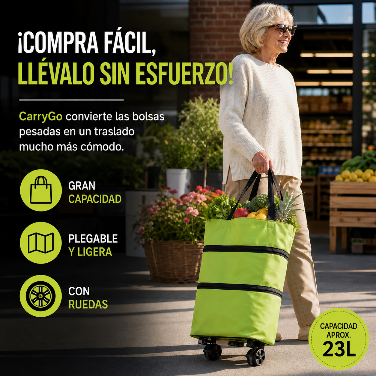 CarryGo - Lleva tus compras sin esfuerzo